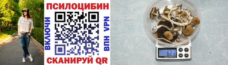 Псилоцибиновые грибы ЛСД  как найти наркотики  kraken сайт  Нолинск 